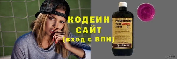 ГАЛЛЮЦИНОГЕННЫЕ ГРИБЫ Елабуга