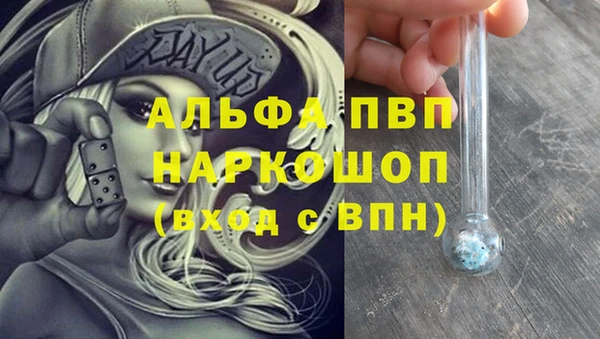 ГАЛЛЮЦИНОГЕННЫЕ ГРИБЫ Елабуга