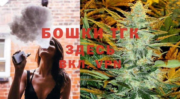прущий лед Ельня