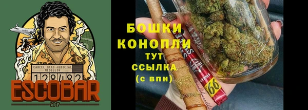прущий лед Ельня