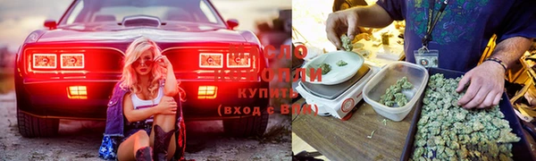 ГАЛЛЮЦИНОГЕННЫЕ ГРИБЫ Елабуга