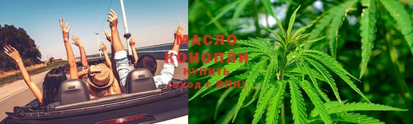 ГАЛЛЮЦИНОГЕННЫЕ ГРИБЫ Елабуга