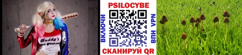 darknet формула Горно-Алтайск Галлюциногенные грибы Magic Shrooms где купить наркоту