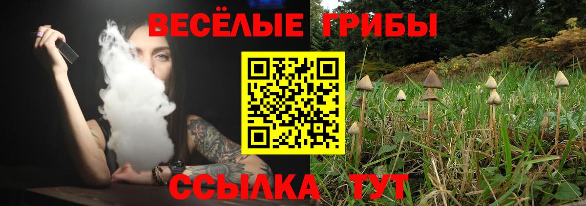 Галлюциногенные грибы мицелий  Горно-Алтайск  Галлюциногенные грибы MAGIC MUSHROOMS 