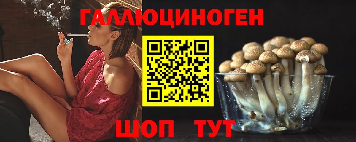 где купить   Псилоцибиновые грибы MAGIC MUSHROOMS  Горно-Алтайск  Вход с VPN  Галлюциногенные грибы прущие грибы 